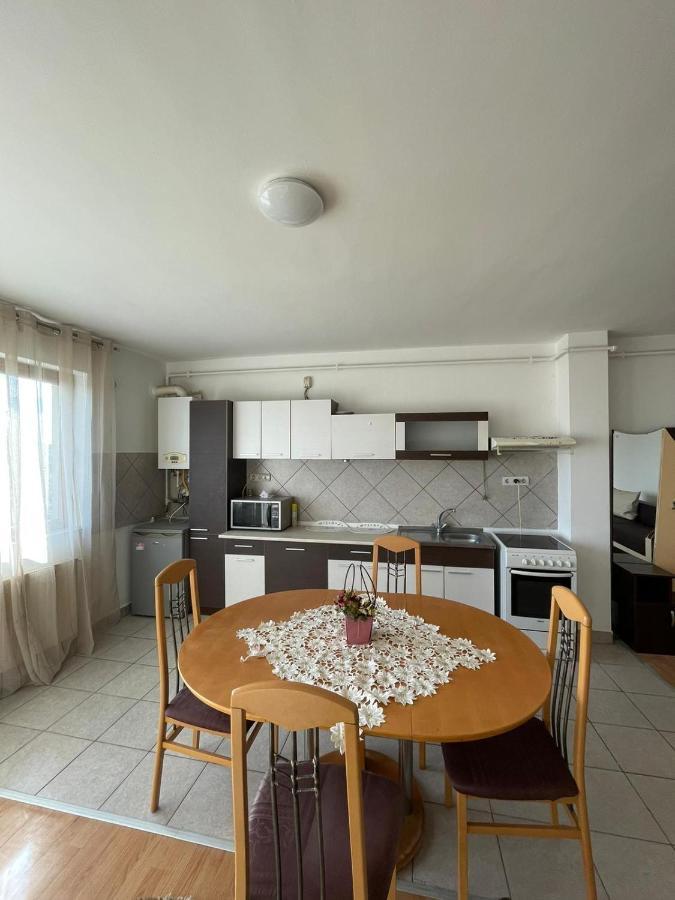 2Br Cosy Apart Satu Mare Exterior foto