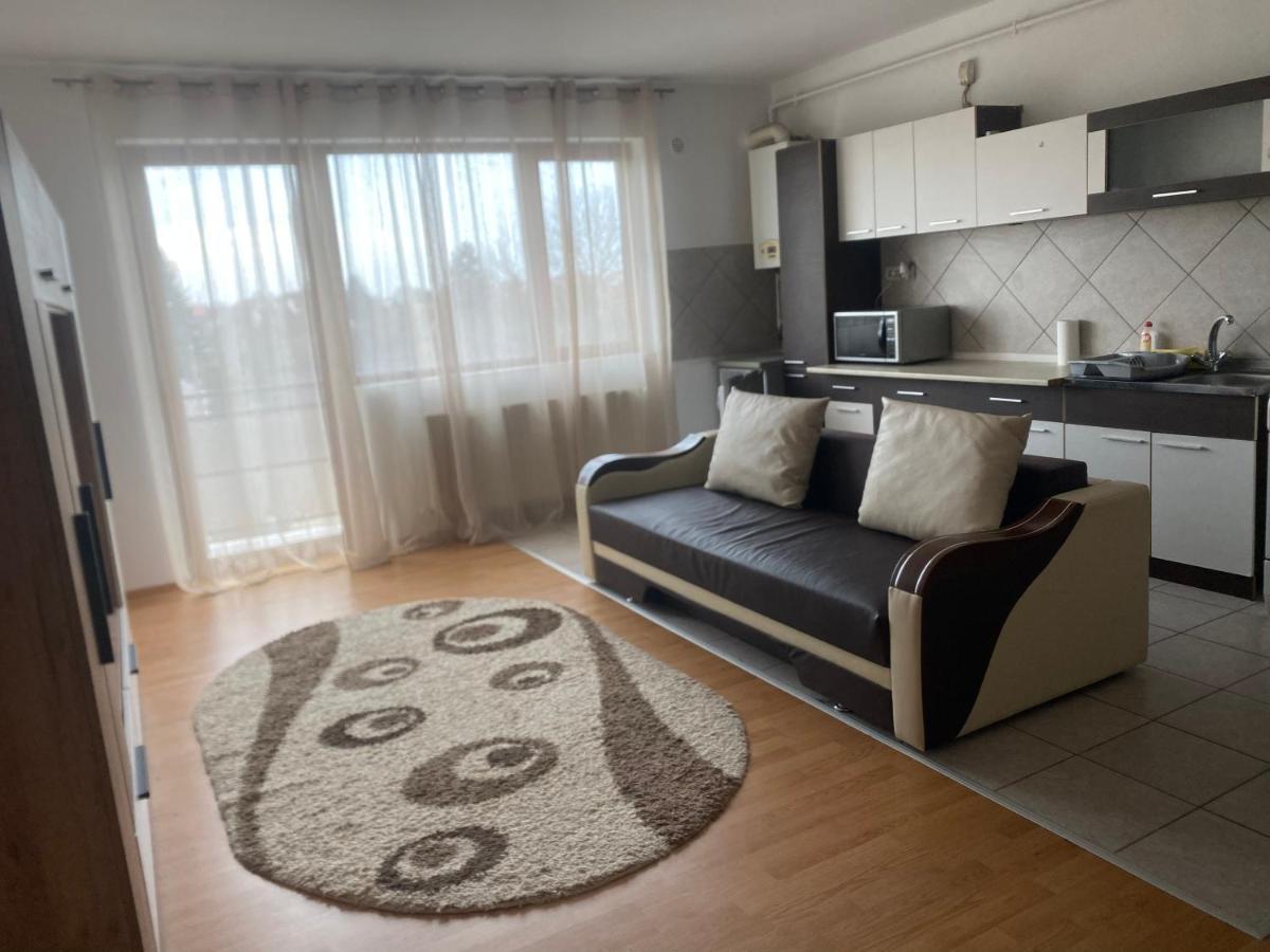 2Br Cosy Apart Satu Mare Exterior foto